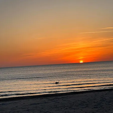 Smelio Takas 8, Kunigiskiai