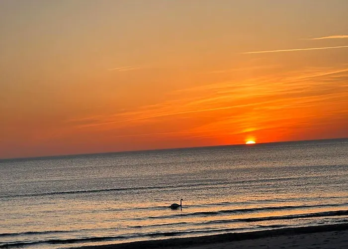 Smelio Takas 8, Kunigiskiai